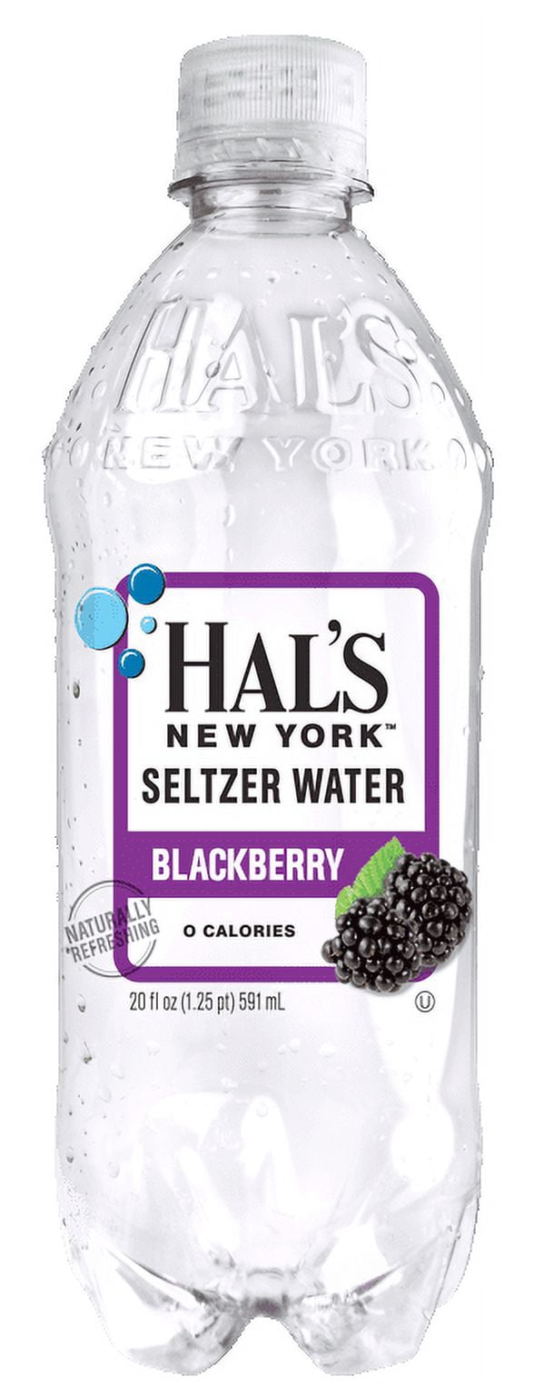 Hal's NY Beverage, Blackberry, 20 Fl Oz Bottles (24 Pack)