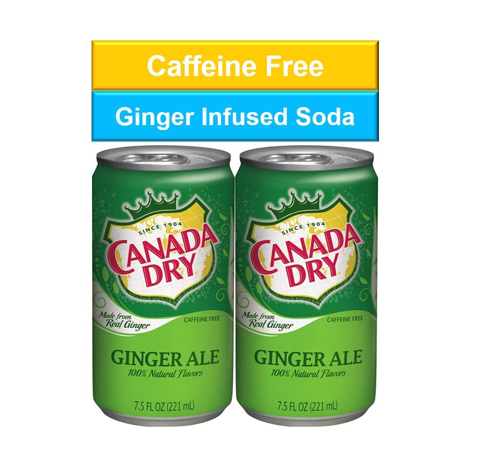 Canada Dry Ginger Ale Mini Soda Cans, 7.5 oz Soft Drinks Bulk Snacks Pack, Small Refrigerator & Snack Pantry Drink 24 Count Beverage Kitchen Supplies