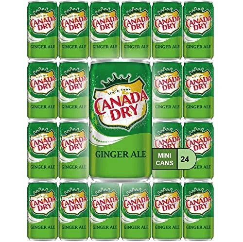 Canada Dry Ginger Ale Mini Soda Cans, 7.5 oz Soft Drinks Bulk Snacks Pack, Small Refrigerator & Snack Pantry Drink 24 Count Beverage Kitchen Supplies